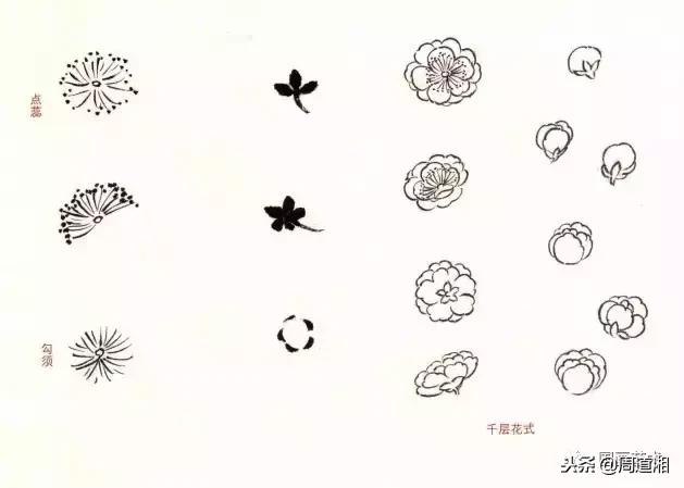 图文教程一学就会画写意菊花,零基础学画梅花教程