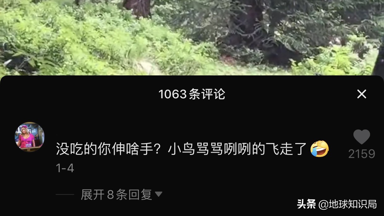 全球旅行攻略干货,全球旅行不为人知的秘密