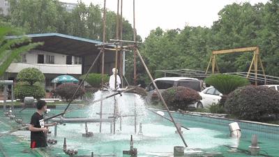 城市惊现连环杀人案例,夏日连环杀人案完整版