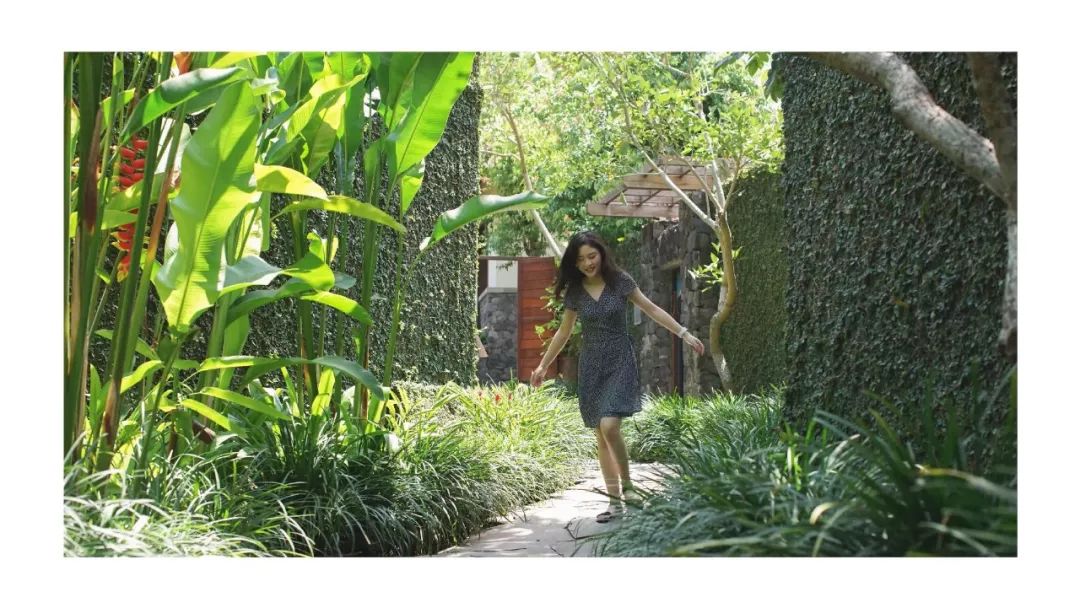 巴厘岛攻略一日游最佳路线图,一生必去一次的巴厘岛