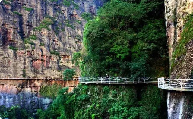 你回梅州了吗,还能回梅州吗