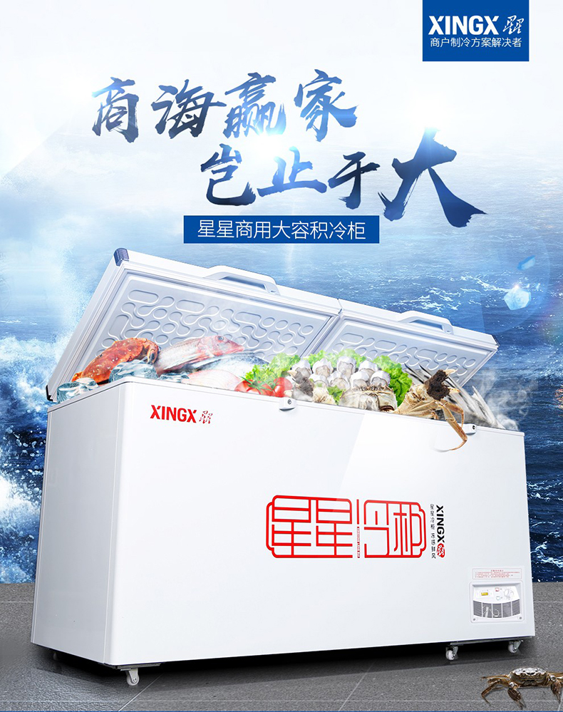 冷柜品牌前十名,冷柜品牌十大排名百度