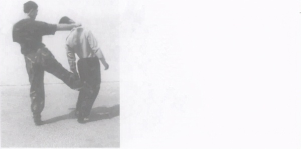 警用防暴棍对战短刀,警用棍式防暴器