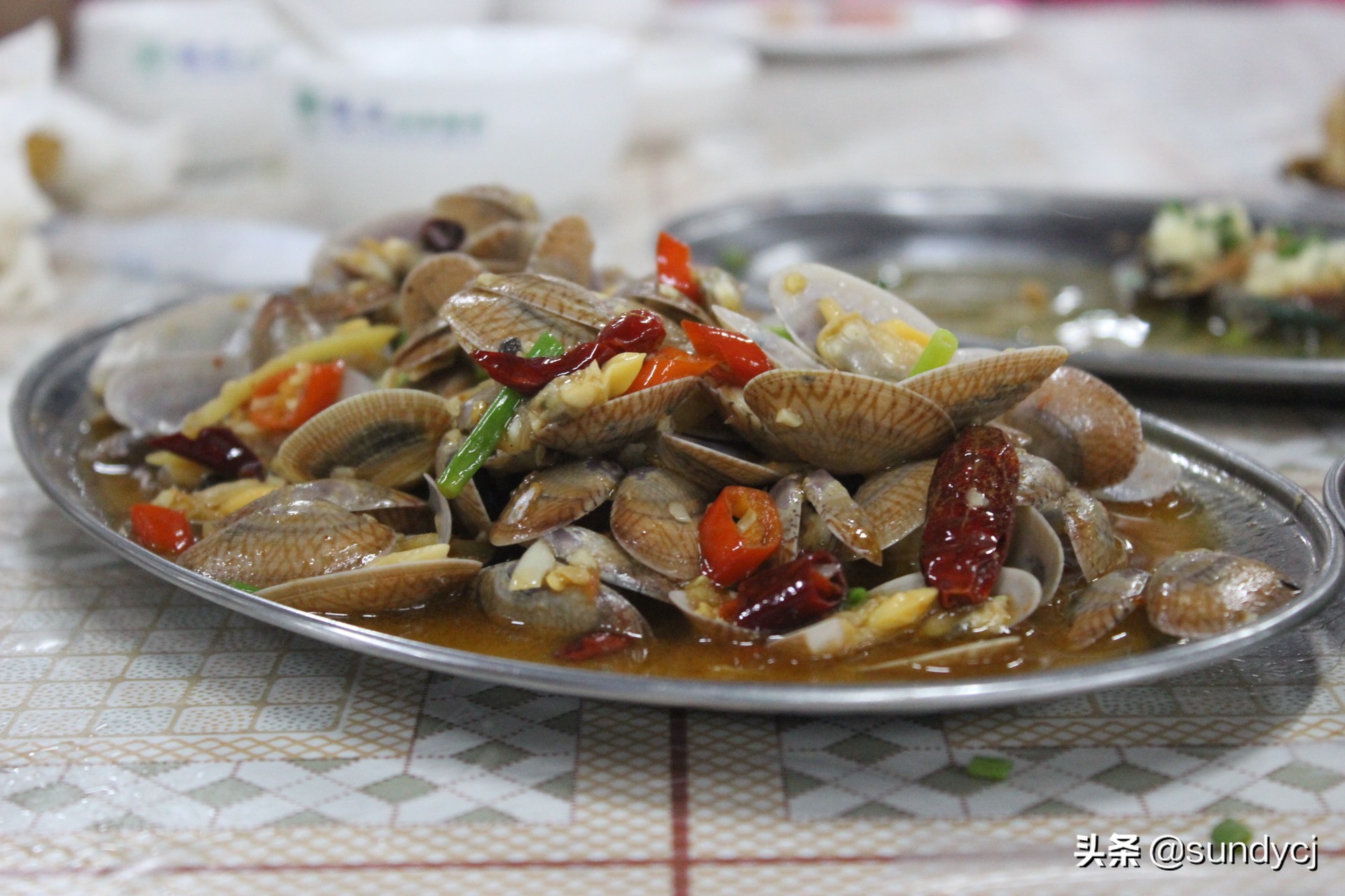 小奔奔,长安新能源奔奔自驾游西藏