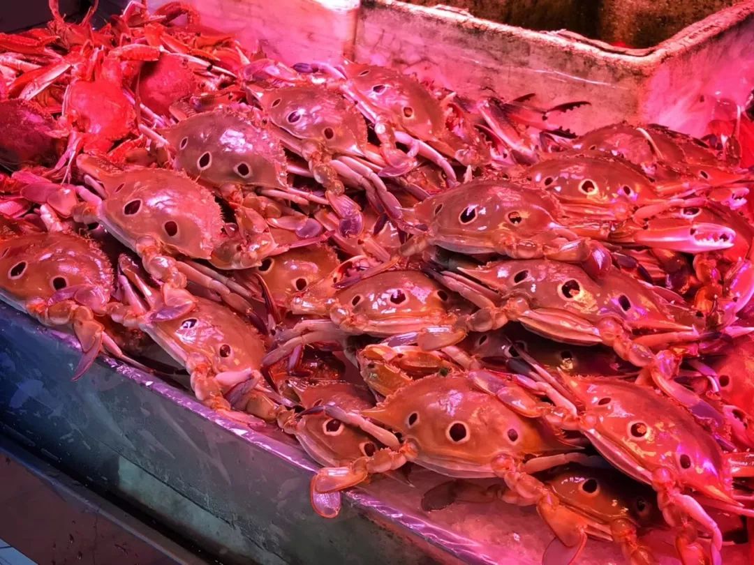 汕头5天旅行怎么吃,汕头两天一夜美食游攻略