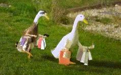 新手烘焙工具到底都该选哪些,新手入坑烘焙要买什么东西