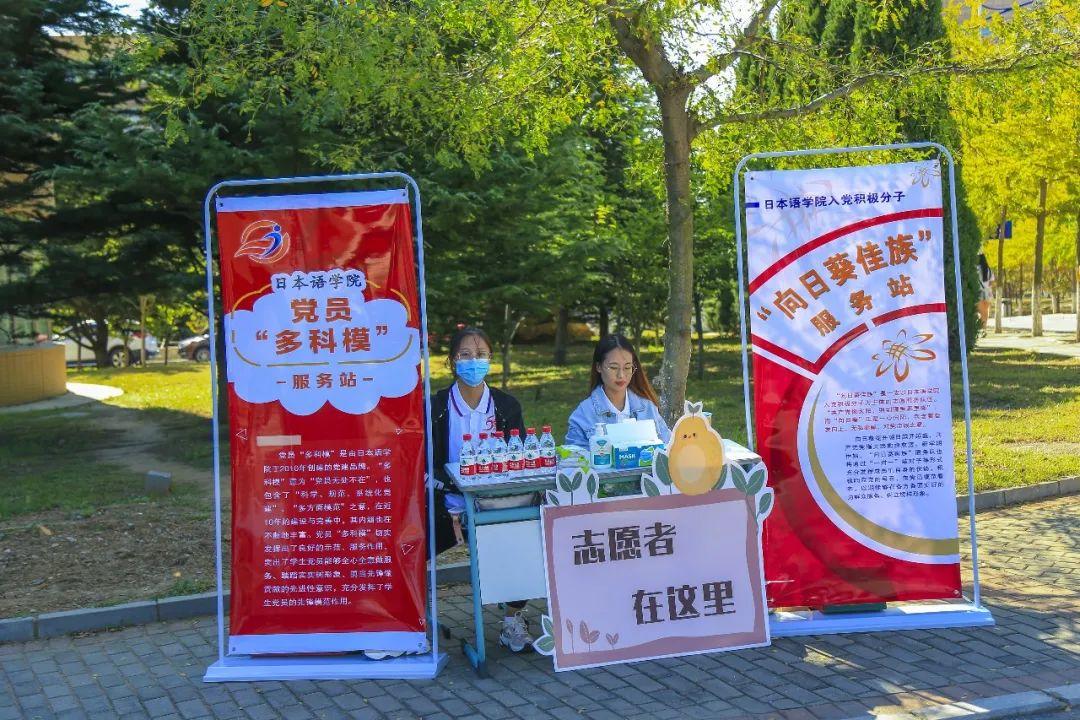 澶у杩庢柊,澶у杩庢柊鍥剧墖