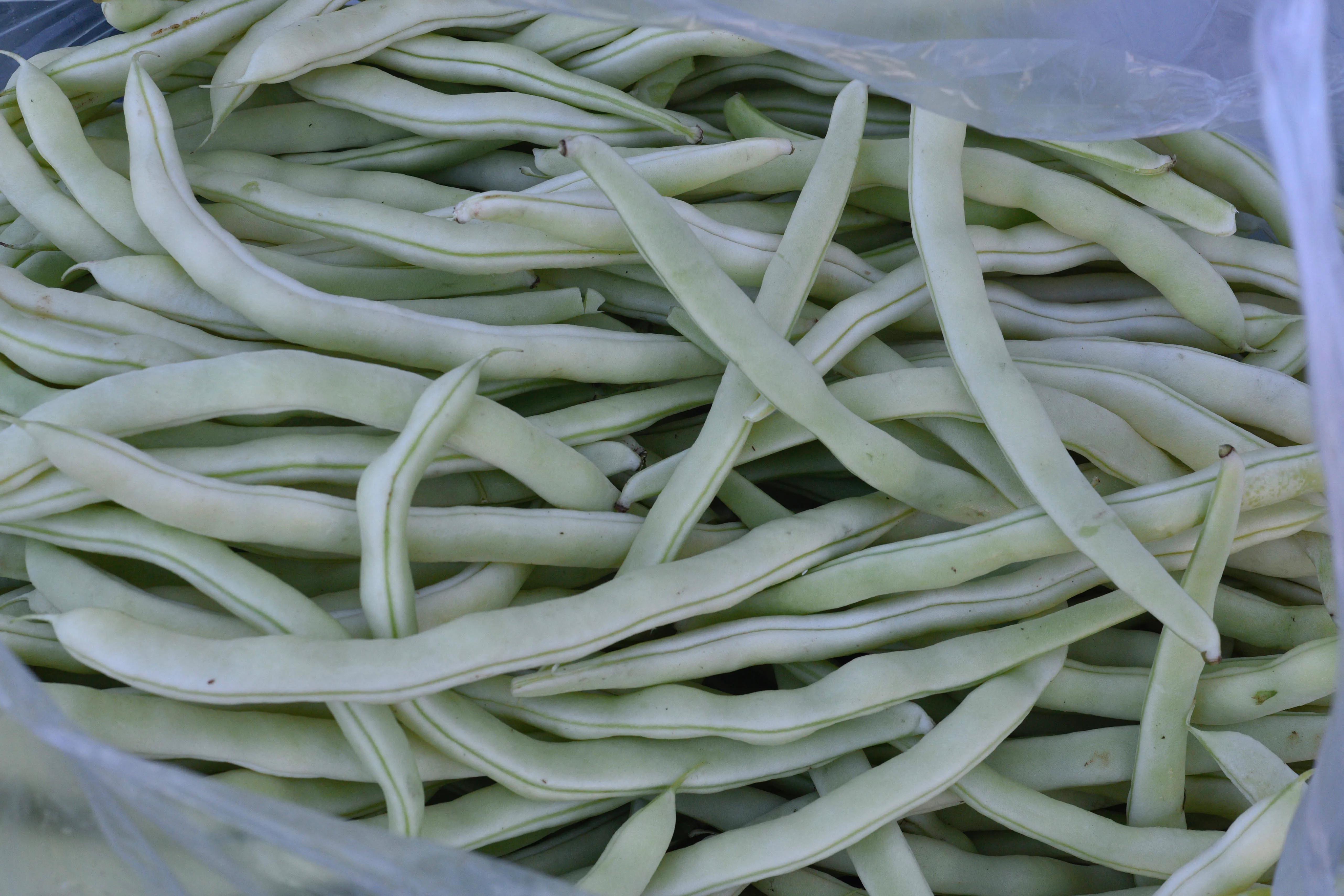 什么蔬菜灭绝了,盘点那些曾经的蔬菜