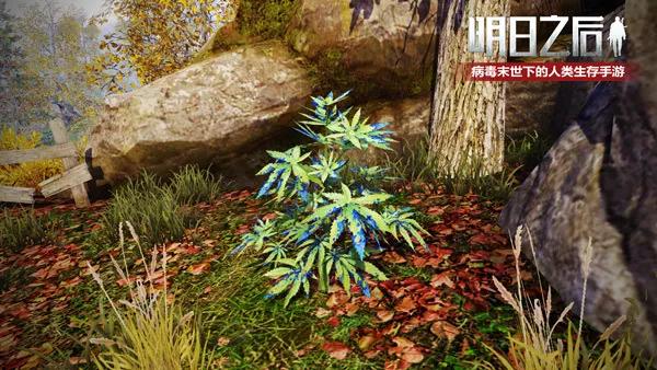 明日之后各个特殊感染体的位置,明日之后强力感染体分别在哪