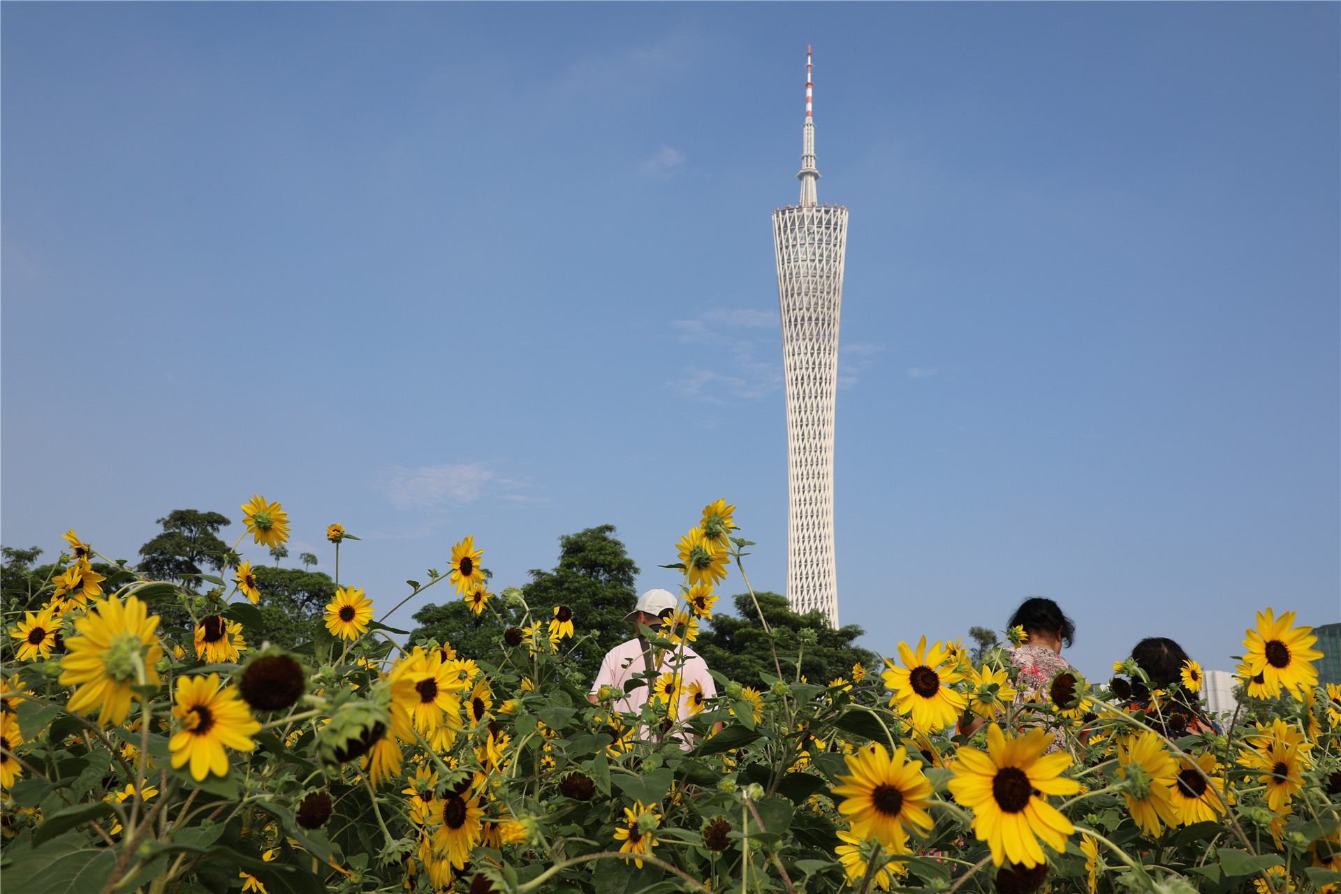 广州珠江夜游哪里上船最好,乘船珠江夜游票