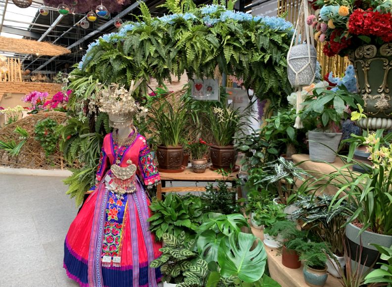 丰台四大花市在哪里,北京丰台值得逛一逛