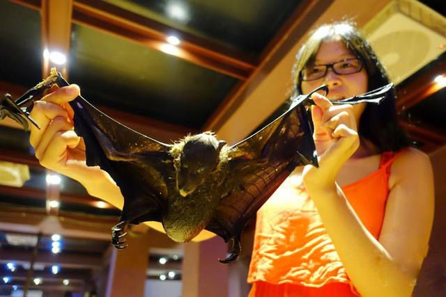 全球奇（hei）葩（an）美（liao）食（li）