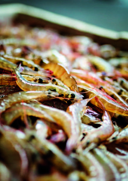 靖江是一座什么样的城市,靖江是被长江环绕的城市