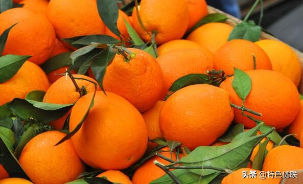 重庆特产小吃十大名单,重庆合江十大特产