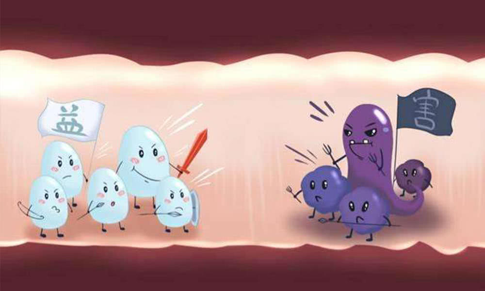 给孩子买的益生菌有哪个品牌推荐,益生菌十大品牌益生菌粉