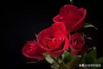 5201314，送你999玫瑰花，祝你爱情甜甜蜜蜜