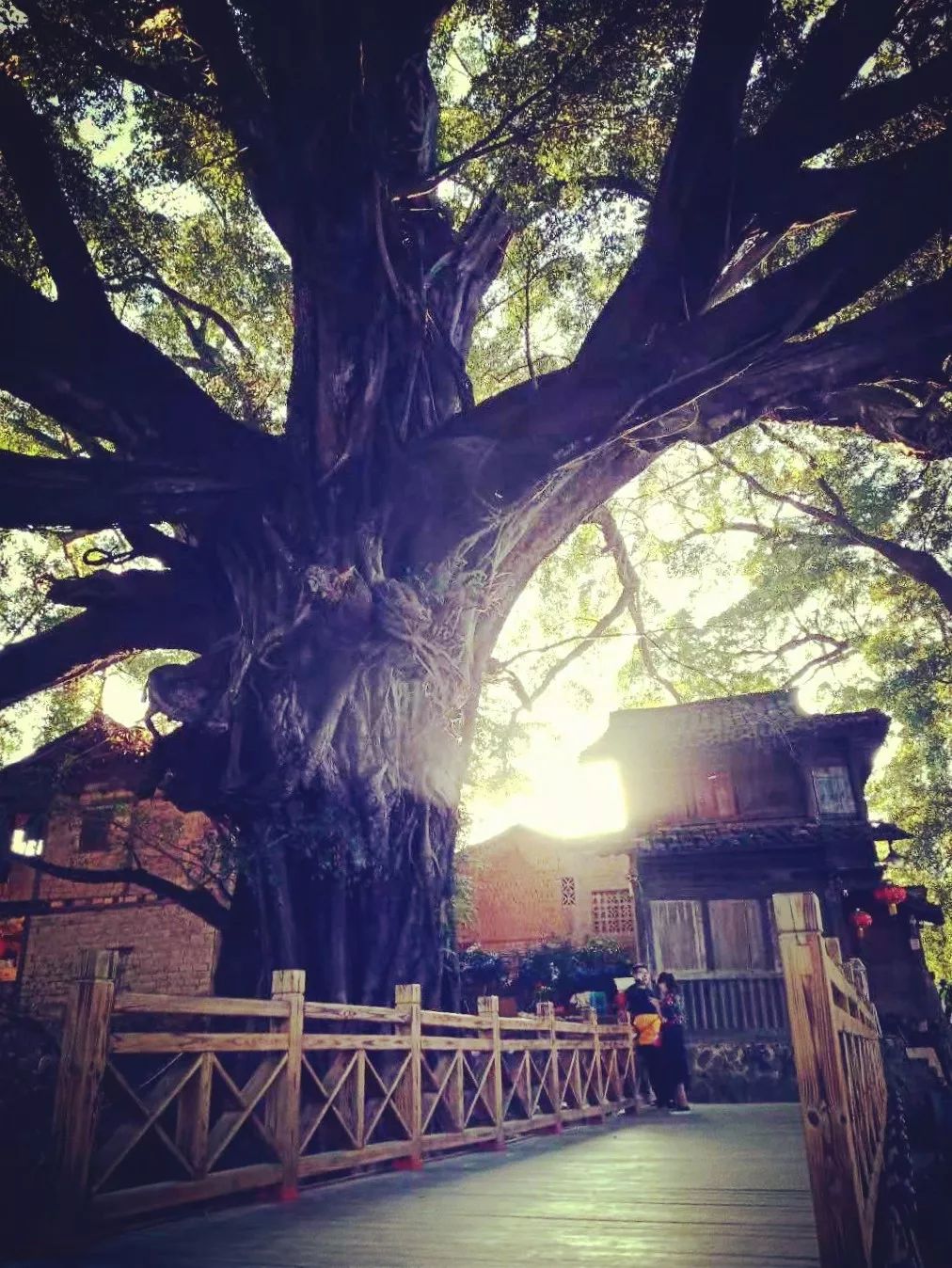 上海到福建自驾游旅游攻略,福建旅游攻略自驾游景点