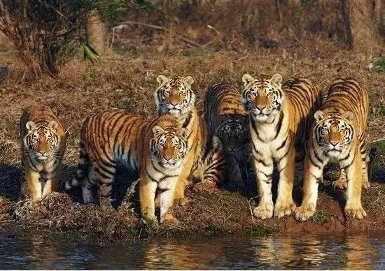 上海地铁沿线景点全部免费,上海地铁11号线上海赛车场