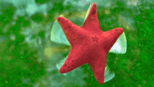 专家：糖尿病人切忌少食多餐，少食多餐会让胰岛素水平更糟糕！