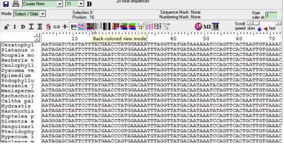 手把手教你构建漂亮的进化树,系统进化树怎么调试节点