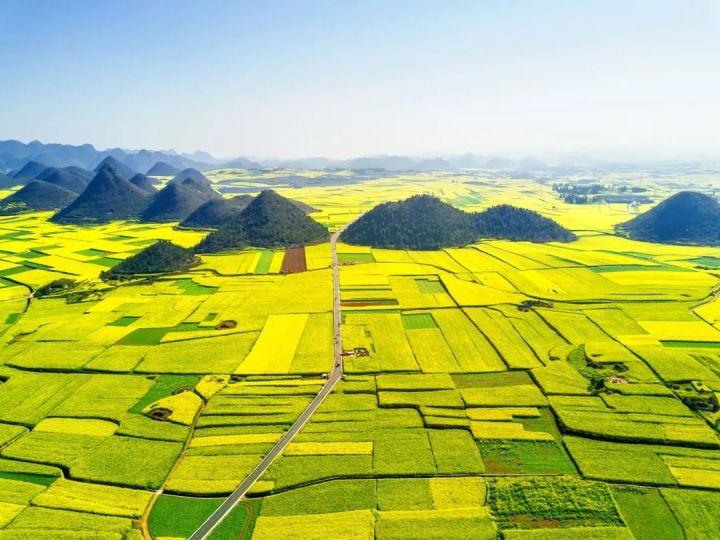 什么是云南品种,什么是云南的特色