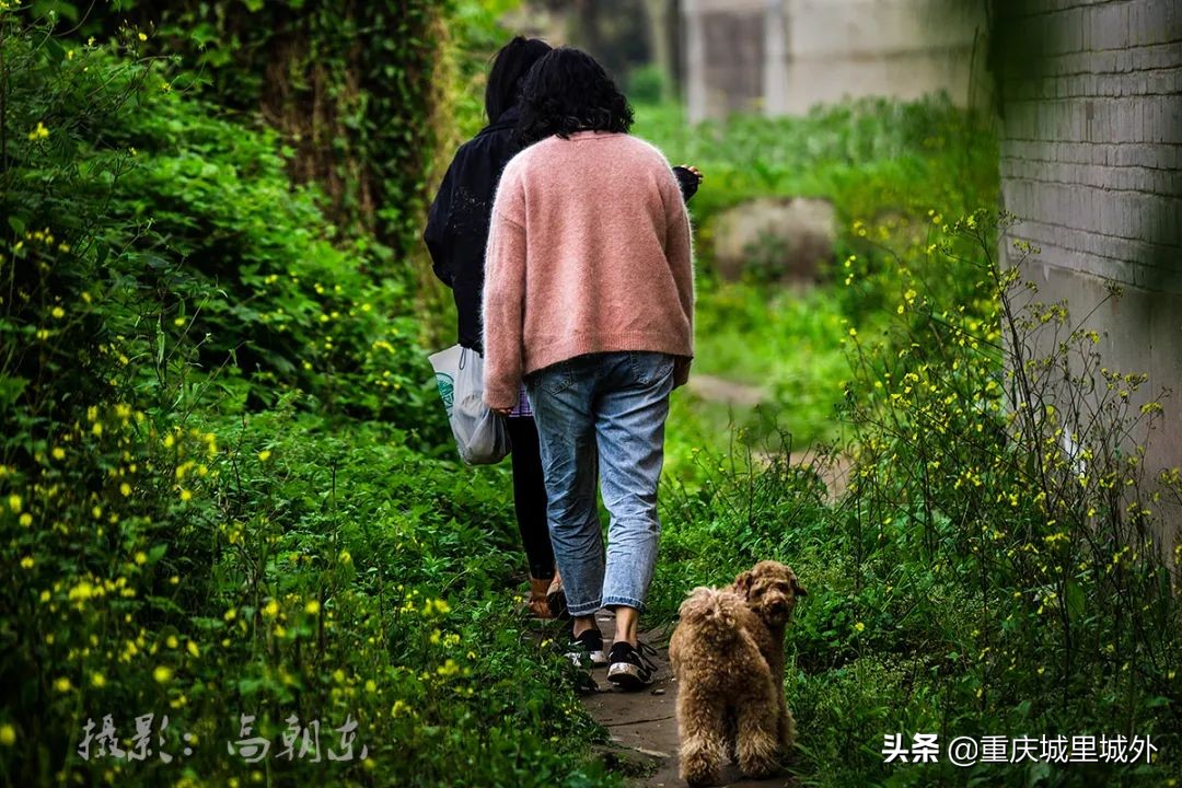 重庆的一个小岛,重庆江心岛是哪里