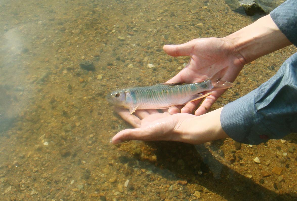 若无环保观，一只钩对鱼也具有*伤杀**力
