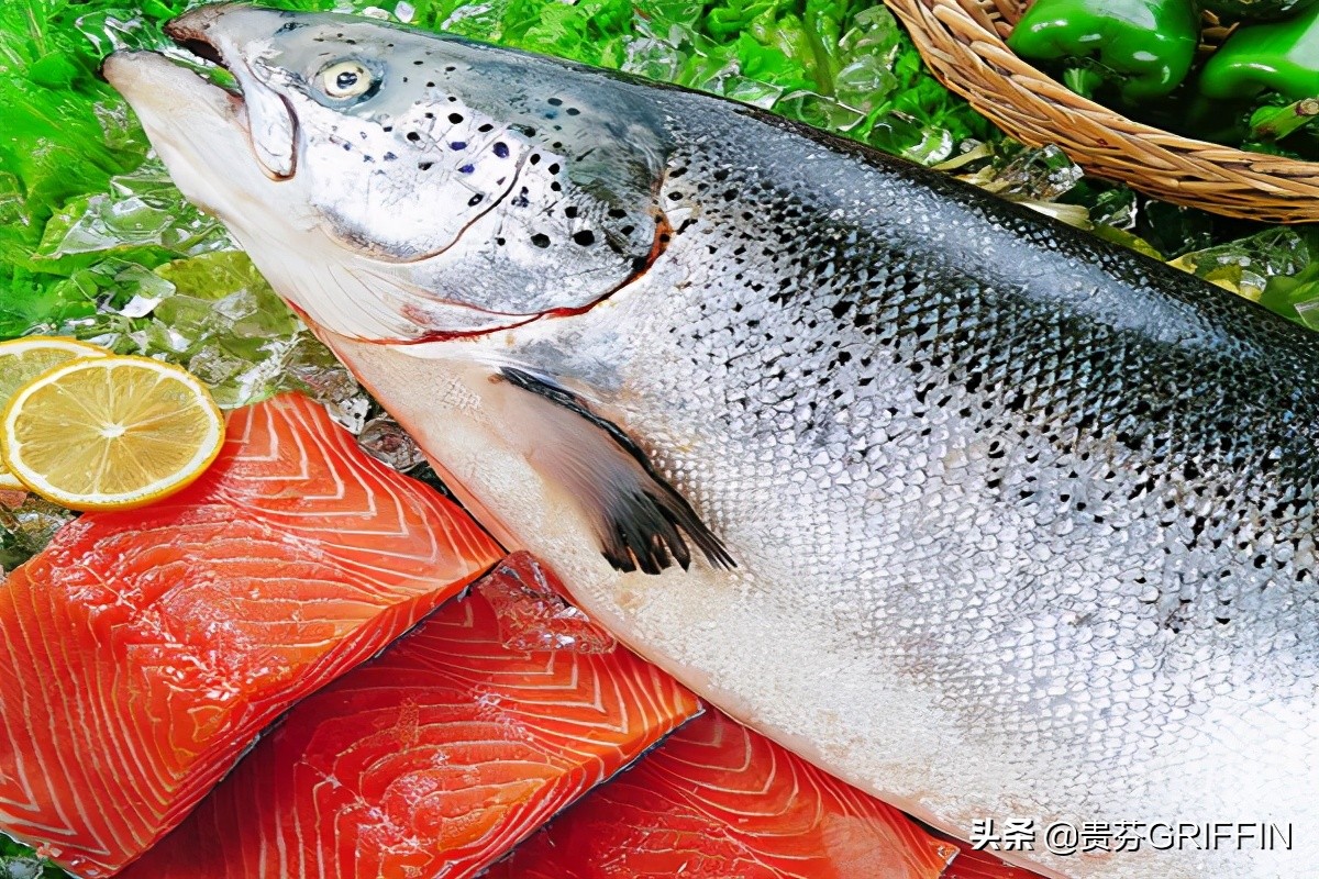 鐙楃嫍鍒板簳鑳戒笉鑳藉悆鑽旀灊,鐙楃嫍鍒板簳鑳戒笉鑳藉悆榫熺伯