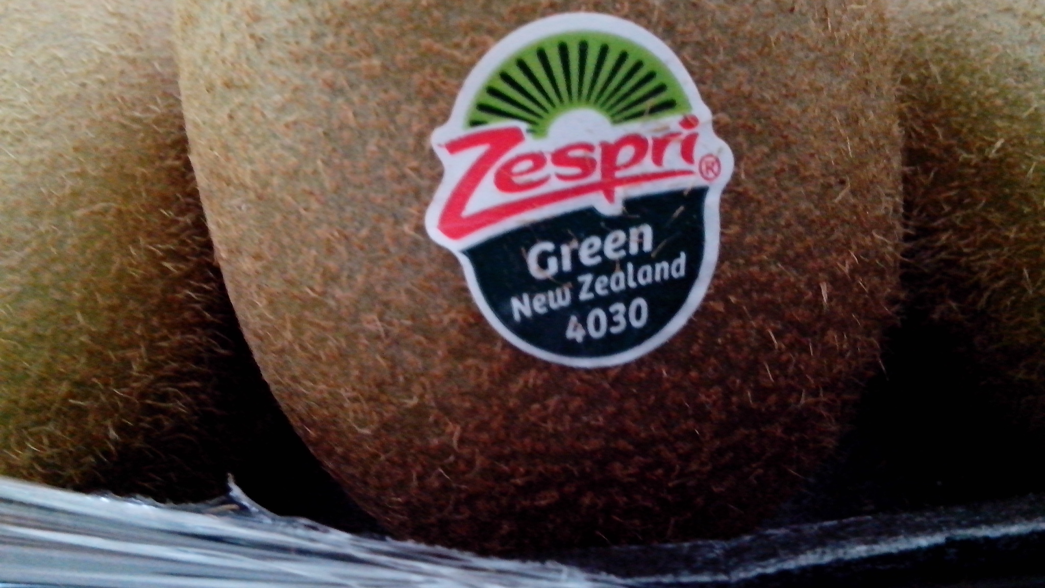 德国男人的真正面目,德国男人严谨的习惯