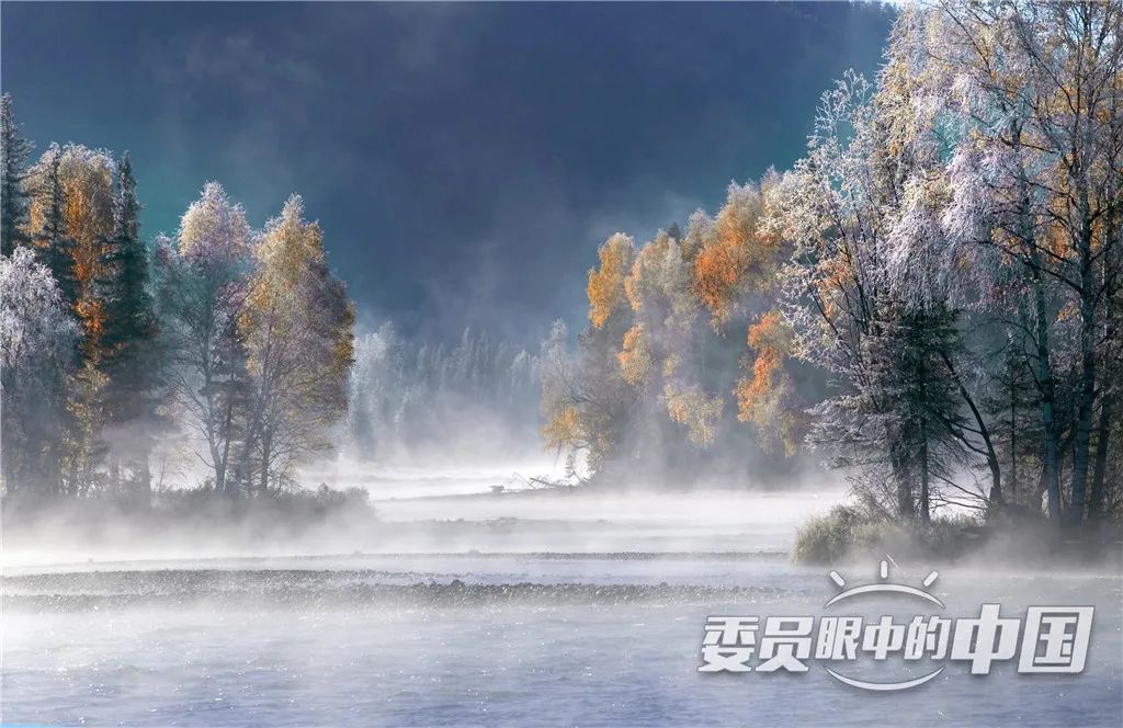 美丽中国中国篇,美丽中国双碳有我主题范文800字