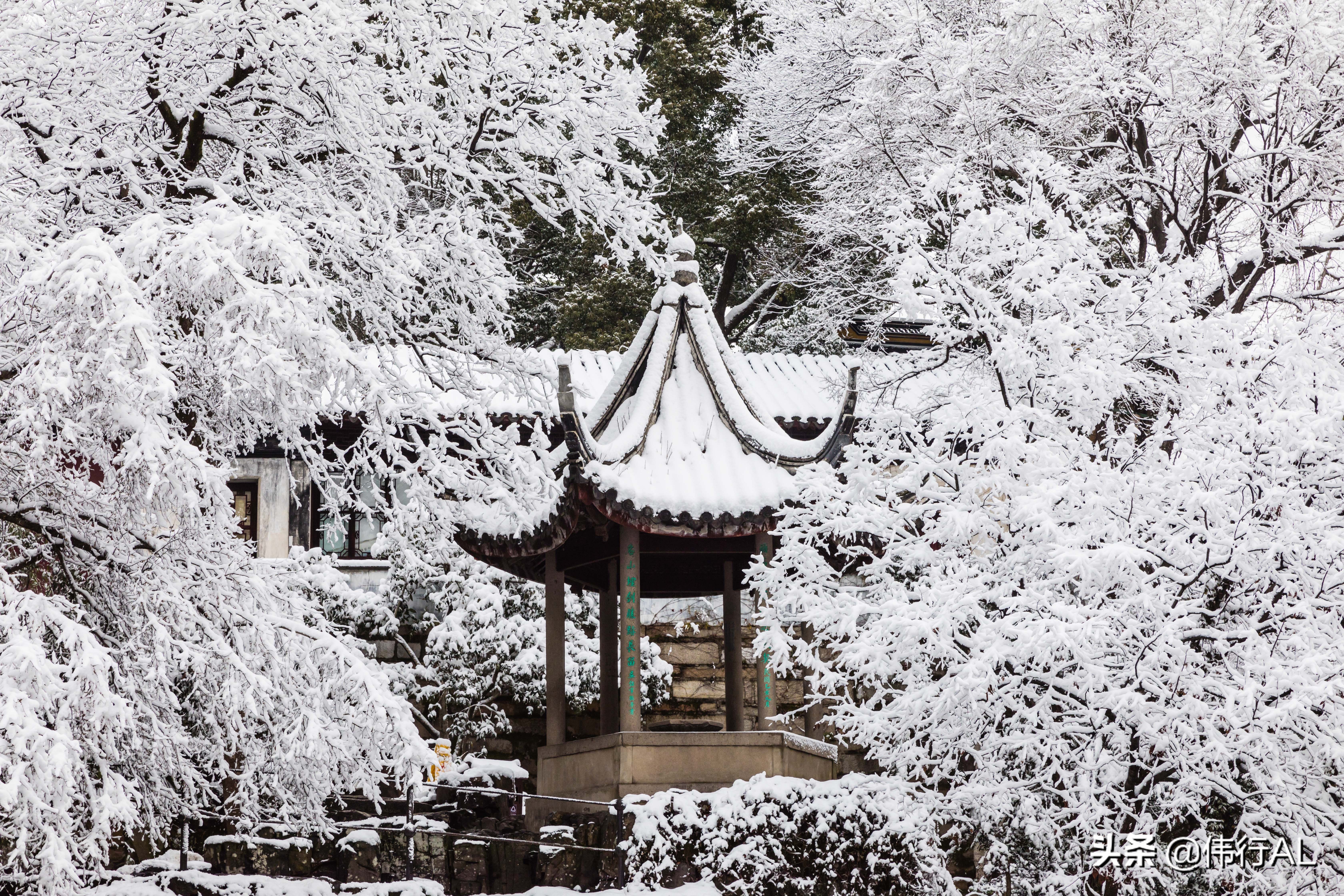 虎丘的十八景,吴中第一名胜虎丘纪念章