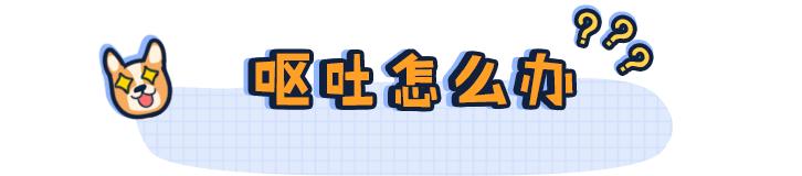 铲屎官的呕吐,狗狗呕吐铲屎官该怎么办