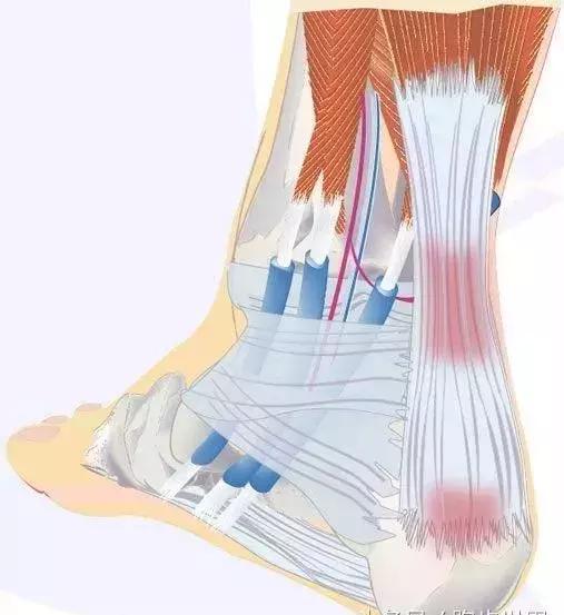 跑步新手应该了解的运动知识,跑步运动基础知识