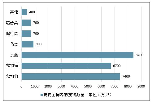 现在宠物市场什么热门,2021宠物市场下滑