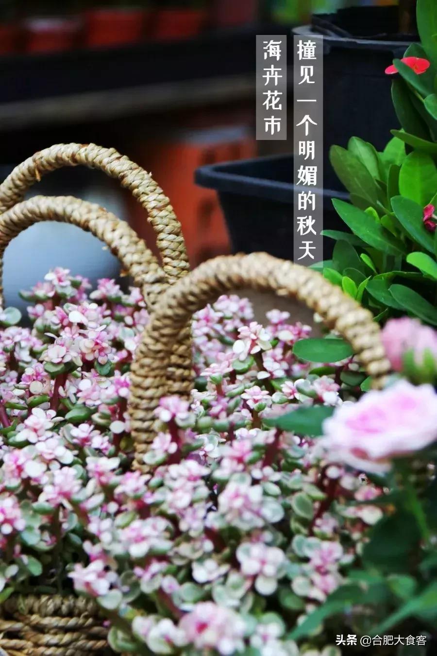 <html>
<head><title>502BadGateway</title></head>
<body>
<center><h1>502BadGateway</h1></center>
<hr><center>nginx</center>
</body>
</html>
<!--apaddingtodisableMSIEandChromefriendlyerrorpage-->
<!--apaddingtodisableMSIEandChromefriendlyerrorpage-->
<!--apaddingtodisableMSIEandChromefriendlyerrorpage-->
<!--apaddingtodisableMSIEandChromefriendlyerrorpage-->
<!--apaddingtodisableMSIEandChromefriendlyerrorpage-->
<!--apaddingtodisableMSIEandChromefriendlyerrorpage-->
