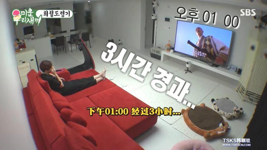 韩国追什么中国剧,在韩国看中国剧