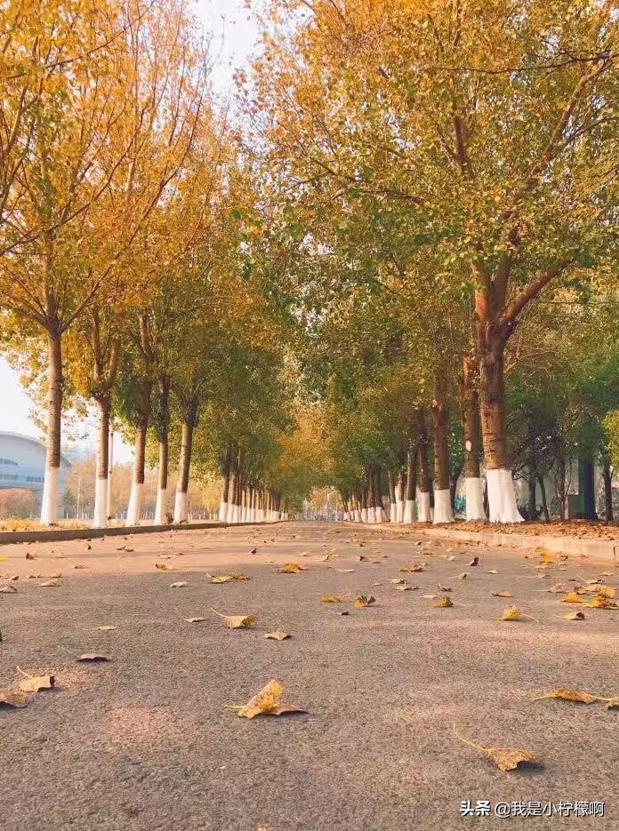 沈阳化工大学-是一所综合性大学化工为主