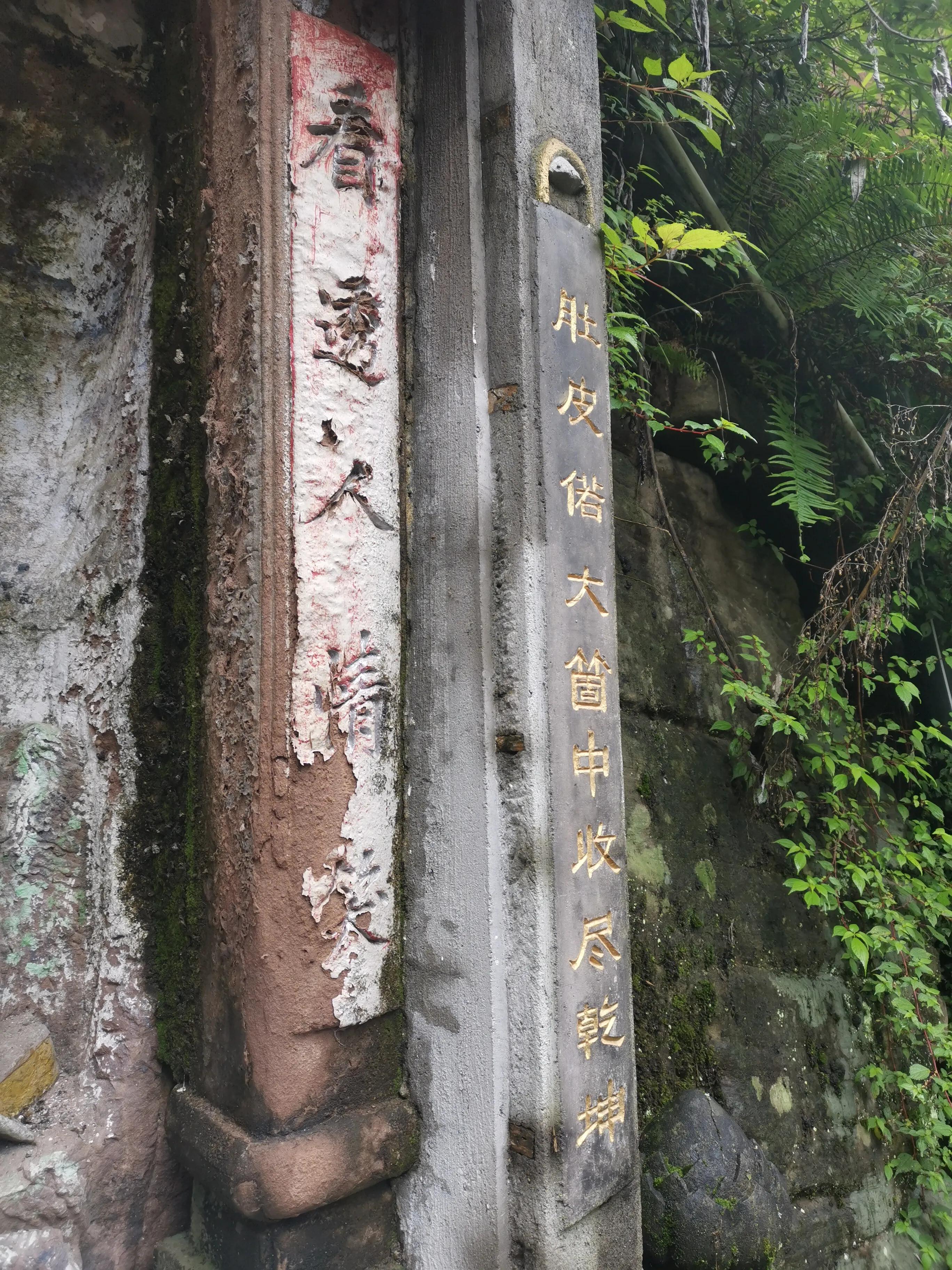 自我隔离第八天,自我隔离第七天怎么样