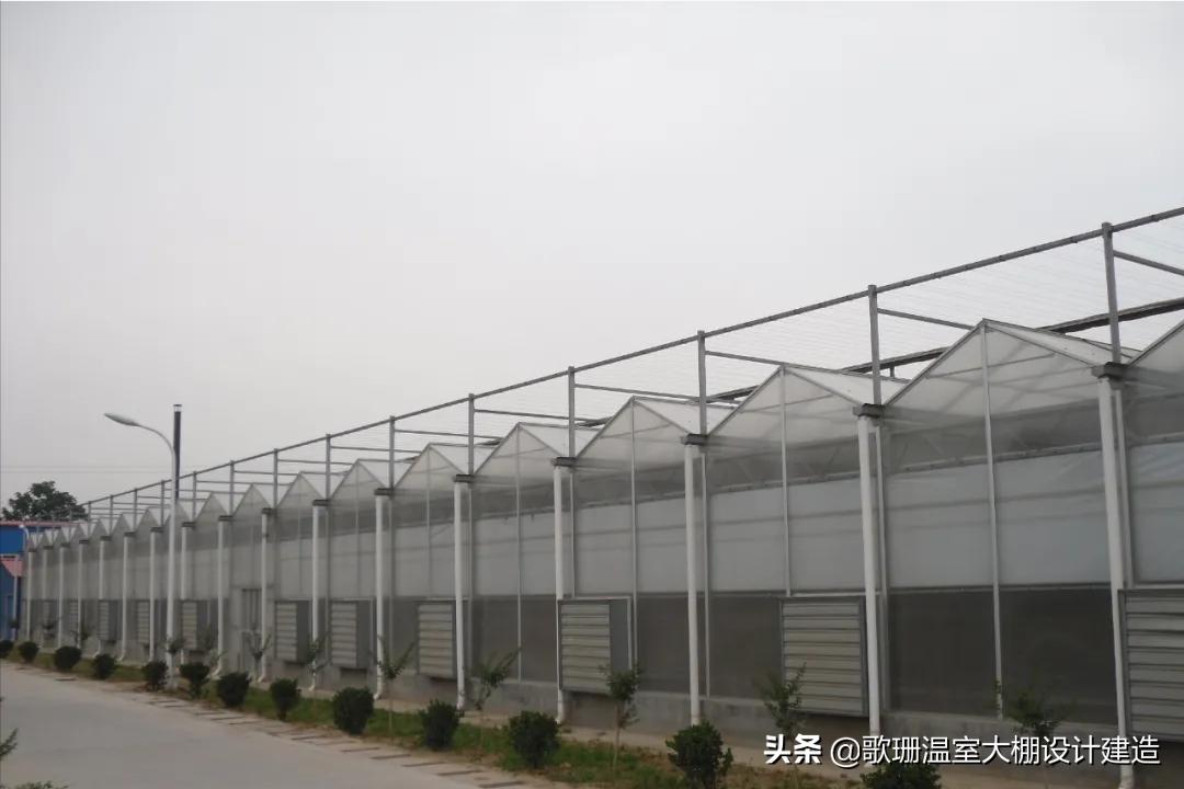 歌珊玻璃温室大棚安装,pc阳光板温室大棚的造价