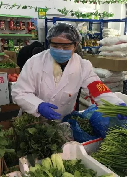 美丽迎春花开了,迎春花盛开的绝美春日盛景