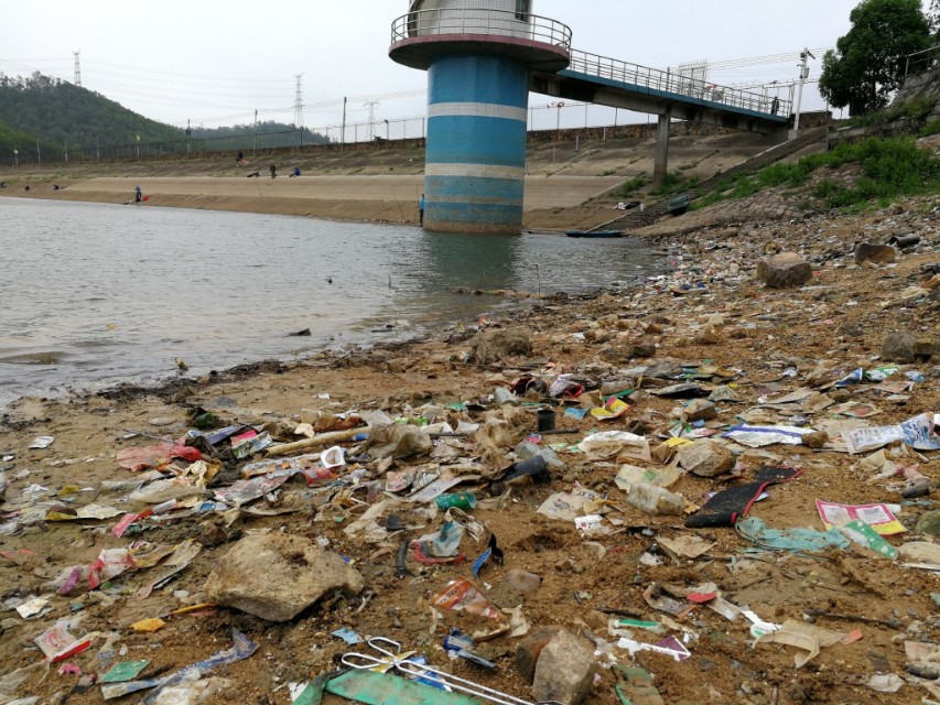 地球生病了，没有人知道，明天等待我们的又是什么