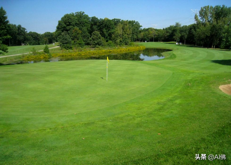 美国圆石滩高尔夫球场,美国高尔夫球场数量