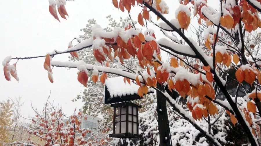 数九寒天，昌平冬季必去的5家超人气高颜值温泉推荐！