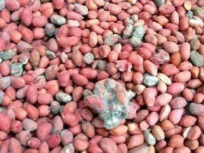 如果肉上有点毛还能吃吗,如果肉有臭味还能不能吃