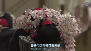 大家都在争抢猫爪杯？吸猫的最高境界，带着摄影机“猫步走天下”