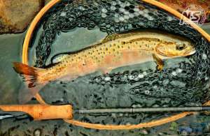 游钓篇｜渔在熊猫故里