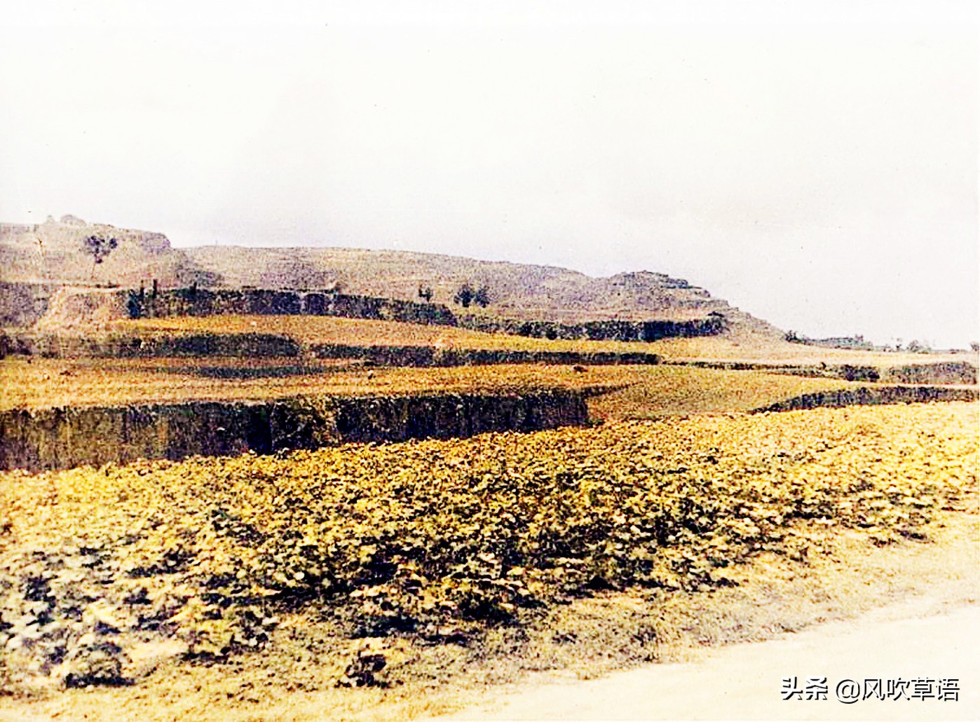 1933年的陕西西安，木头造的汽车，穿着衣服的飞机