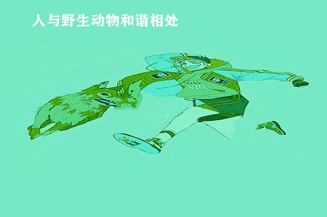 来自动物的启示,来自猎人的忠告