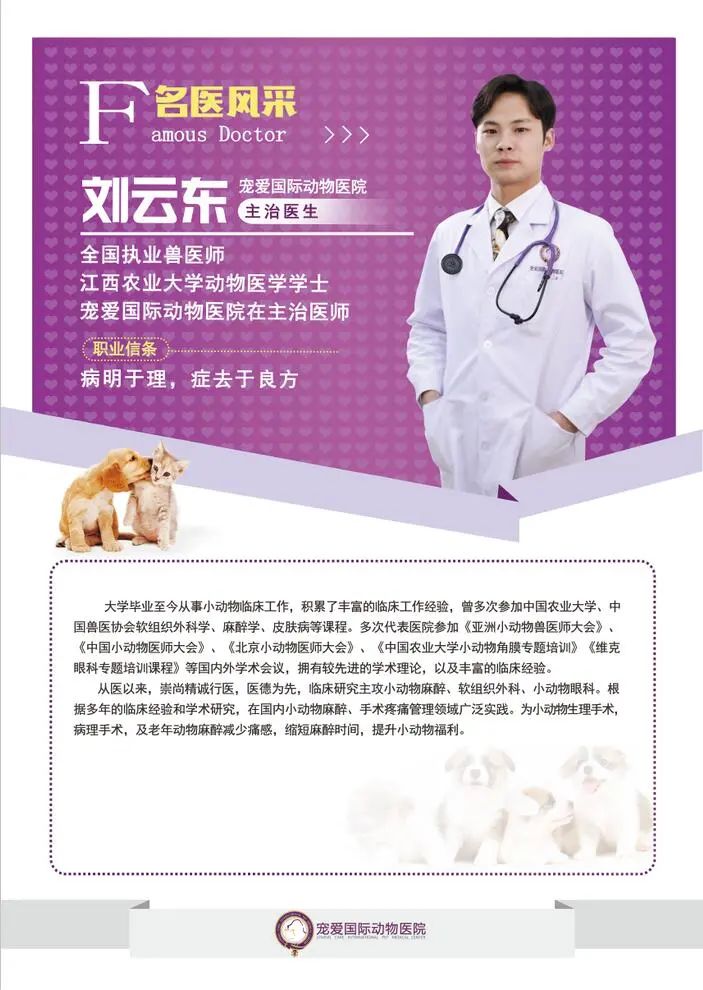 猫咪为什么绝育后还会叫,泰迪公犬做完绝育手术后还发情吗