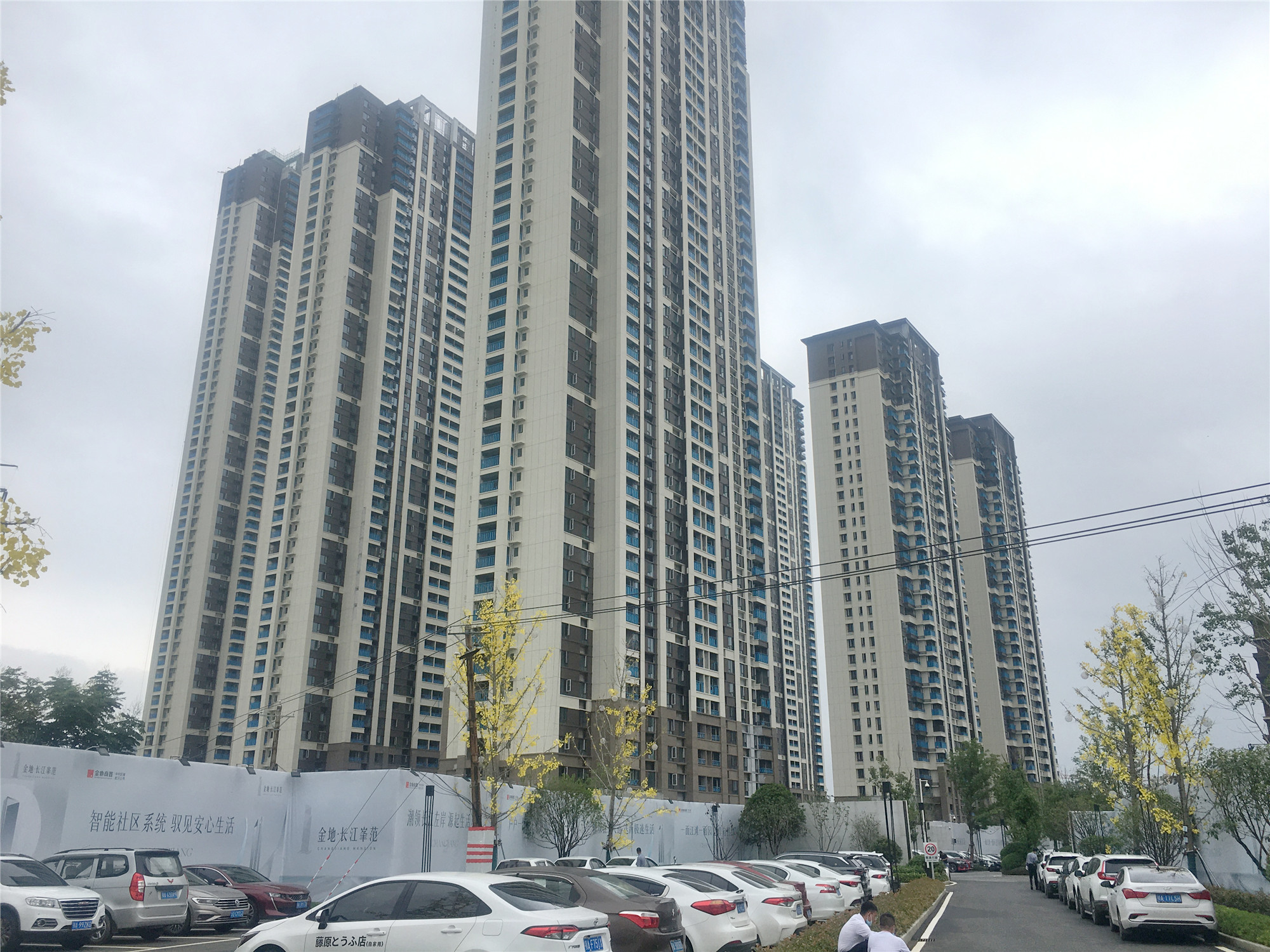 金地峯范特价房值得买吗,金地长江峯范房源